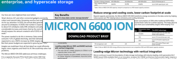 Micron 6600 ION NVMe SSD Product Brief